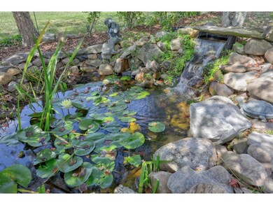 pond