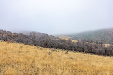 300 N Canyon Rd, Malad City, ID 83252 - photo 4