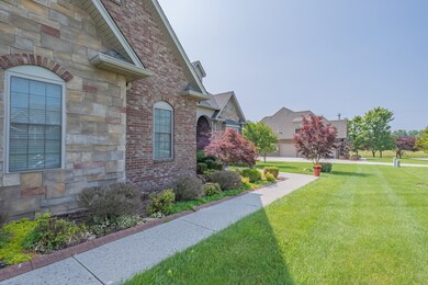 beautiful front yard