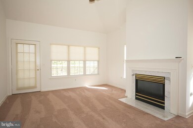 9921 Middle Mill Dr, Owings Mills, MD 21117 - photo 5