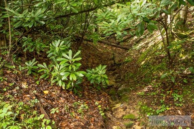 Wet Weather Creek: A delightful wet weather creek runs down through the yard in rainy weather.