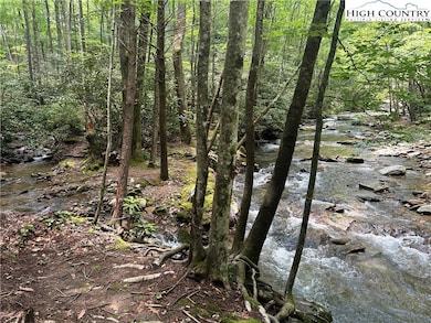 289 Ninebark Rd, Boone, NC 28607 - photo 6