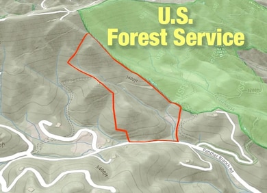 890 Panther Branch Rd, Hot Springs, NC 28743 - photo 5