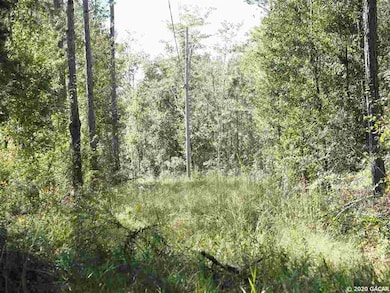 TBD Spring Dr, Middleburg, FL 32068 - photo 3