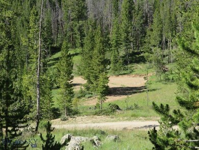 TBD Quartz Hill - Thistle Lode Rd, Wise River, MT 59762 - photo 4