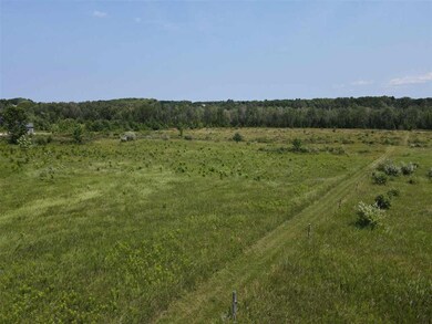 TBD Major Douglas Sloan Rd unit (Old US 31), Charlevoix, MI 49720 - photo 7