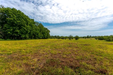 TBD Cr 207a, Plantersville, TX 77363 - photo 7