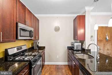 The Isabella At Monticello Mews unit 500, Alexandria, VA 22312 - photo 6