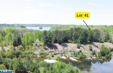 80064 Osprey Pass, Tower, MN 55790 - photo 3