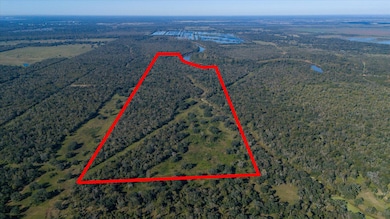 0000 County Road 611, Angleton, TX 77515 - photo 5