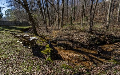 71 Blue Springs Rd, Ellijay, GA 30540 - photo 4