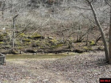 001-04964-003 Jimmie Creek Trail, Yellville, AR 72687 - photo 6