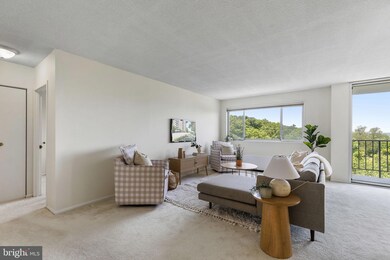 Hunting Creek Club unit 912, Alexandria, VA 22303 - photo 4