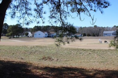 271 Navigator Dr, Greenbackville, VA 23356 - photo 5