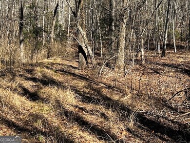 1200 Roy Powers Rd, Cleveland, GA 30528 - photo 4