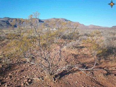 x Iron Wood Rd SE, Deming, NM 88030 - photo 5