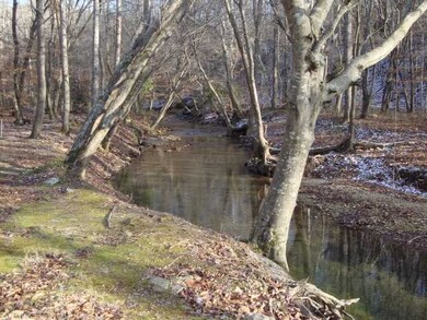 Overlooking the creek from the back porch