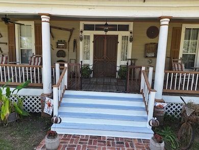 2156 County Road 78, Dixie, GA 31629 - photo 6