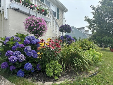 spring flowers
