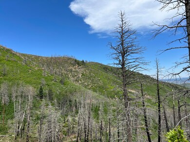 IMG_4148