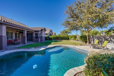 Pool/ Backyard
