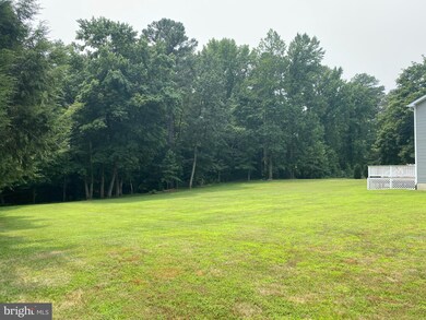 525 Coon Box Rd, Centreville, MD 21617 - photo 4