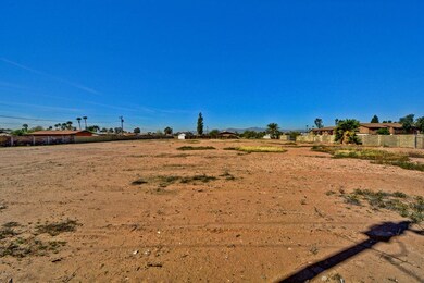 Ocotillo (4)