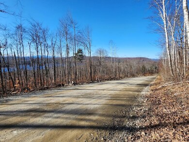 0 Dow Farm Rd unit B, Island Falls, ME 04747 - photo 2