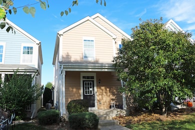 3619 Daisy Ln, Elgin, IL 60124 - photo 2