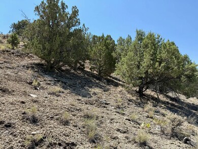 Big Belt St unit Elko NV, Elko, NV 89801 - photo 5