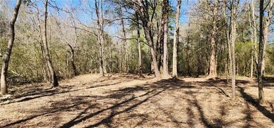 Lot 102 Bleu Lake Dr, Covington, LA 70435 - photo 4