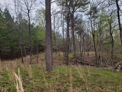 middle toward north