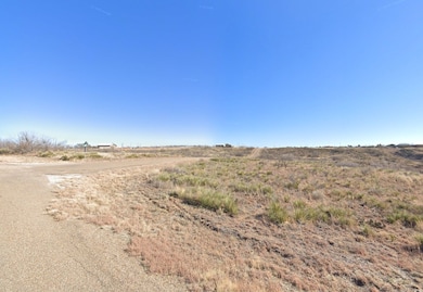 Bluff View unit Fritch TX 79036, Fritch, TX 79036 - photo 3