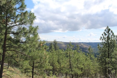 Badger Lot 1&2 Sontag Ridge Ln, Davenport, WA 99122 - photo 6