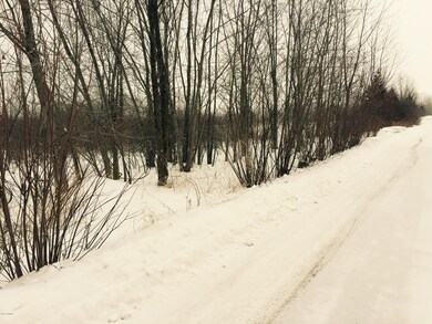 0 Aplona Ln, Sawyer, MI 49125 - photo 3