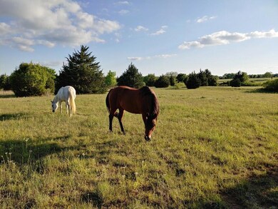 3000 County Road 425, Cleburne, TX 76031 - photo 2