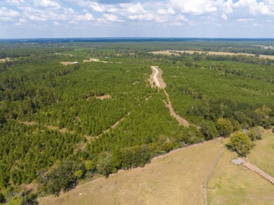 572 Robertson Rd, Lovelady, TX 75851 - photo 4