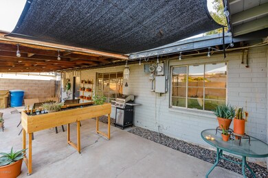 Back Patio 03