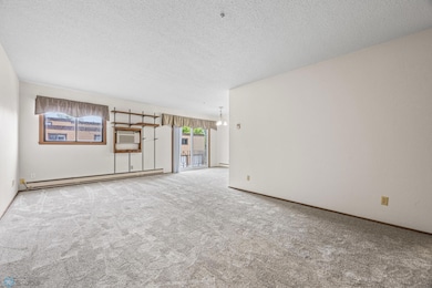 Living Room - all new carpet throughout