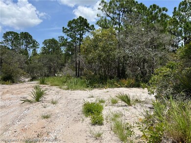 372 Jack Weisser Blvd, Lake Placid, FL 33852 - photo 5