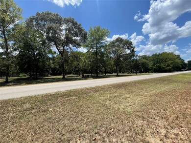 28024 Greenbriar Dr, Hockley, TX 77447 - photo 3