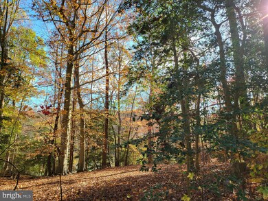 Lot 137 Knights Way, Montross, VA 22520 - photo 3