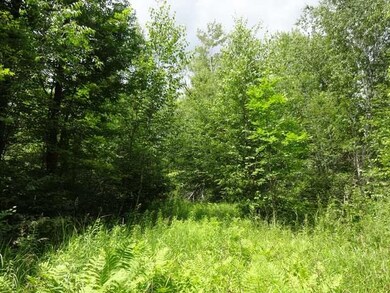 NEAR Hwy 86, Tomahawk, WI 54487 - photo 5