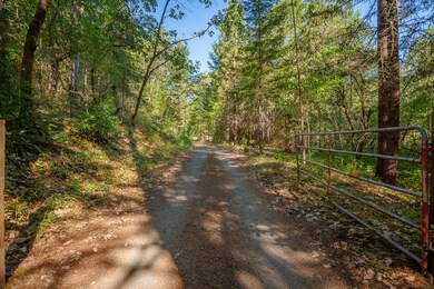 TL300 Redwood Hwy, Grants Pass, OR 97527 - photo 3