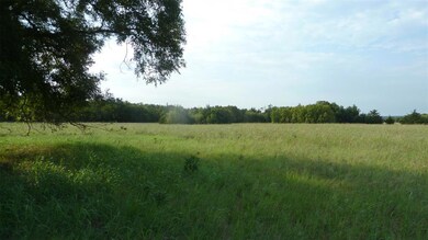 368 Greanead Rd, Forestburg, TX 76239 - photo 5