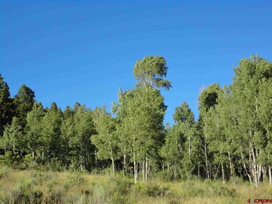 0 Sleger Rd unit 697804, Fort Garland, CO 81133 - photo 5