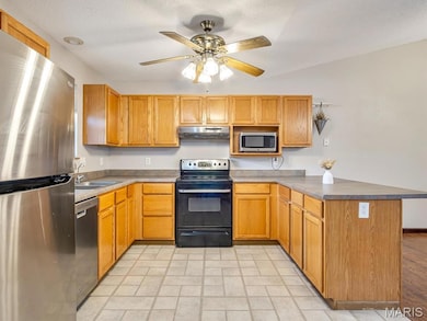 109 E Red Bud Ct, Valmeyer, IL 62295 - photo 6