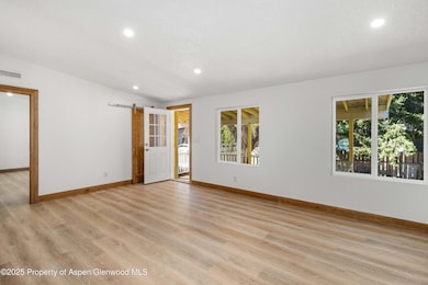 161 James Cir, Carbondale, CO 81623 - photo 5