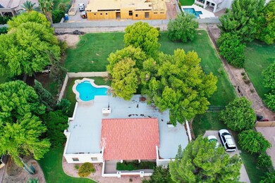 Mature Landscaping