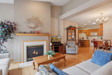 Cozy Gas Fireplace and Vaults Throughout~